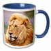 image of 11oz Two-Tone Blue Mug