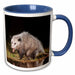 image of 11oz Two-Tone Blue Mug