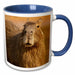 image of 11oz Two-Tone Blue Mug