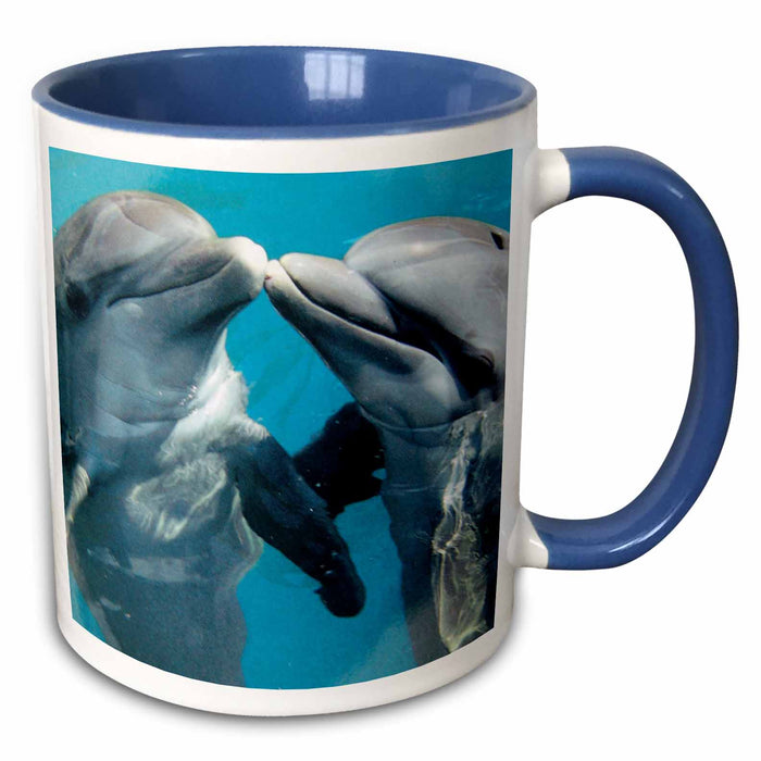 image of 15oz Two-Tone Blue Mug