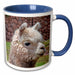 image of 15oz Two-Tone Blue Mug