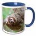 image of 15oz Two-Tone Blue Mug