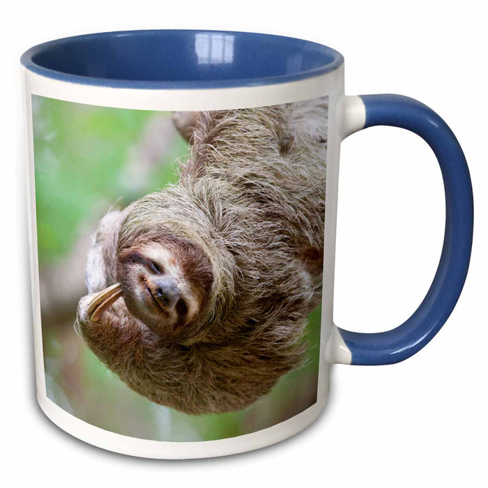 image of 11oz Two-Tone Blue Mug