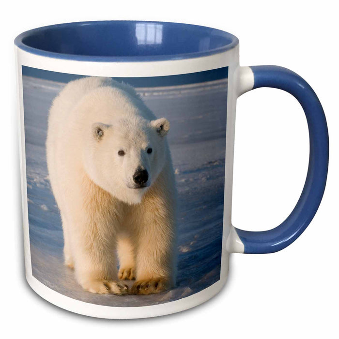 image of 11oz Two-Tone Blue Mug