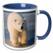 image of 15oz Two-Tone Blue Mug