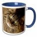 image of 11oz Two-Tone Blue Mug