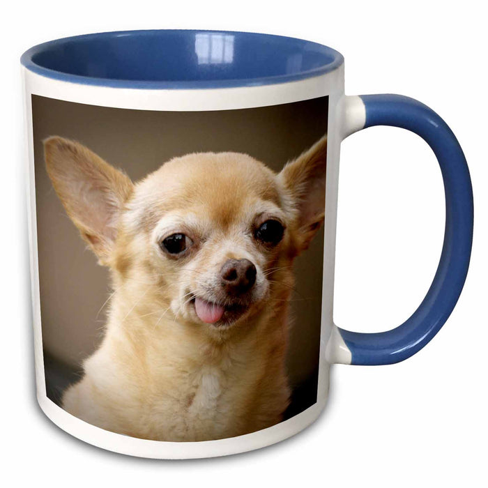 image of 15oz Two-Tone Blue Mug