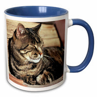 3dRose Utah, Capitol Reef NP. Sleeping tabby cat - US45 RER0114 - Ric Ergenbright - Mugs (mug_94870)