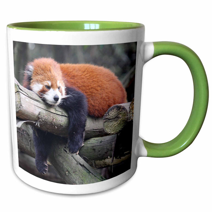 image of 11oz Two-Tone Green Mug