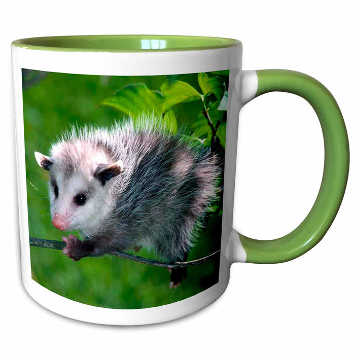 image of 11oz Two-Tone Green Mug