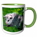 image of 15oz Two-Tone Green Mug