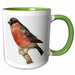 image of 15oz Two-Tone Green Mug