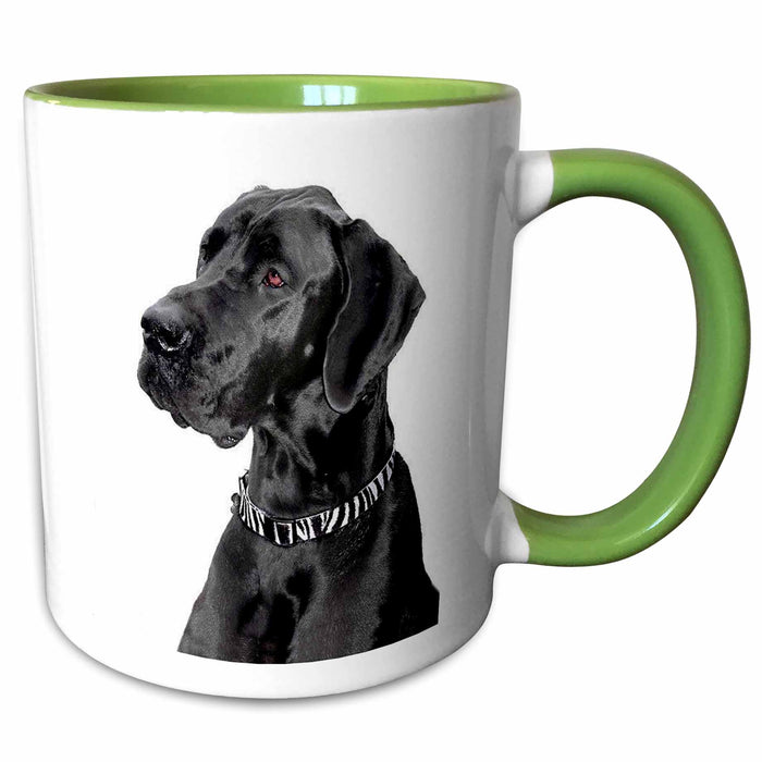 image of 15oz Two-Tone Green Mug