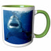 image of 15oz Two-Tone Green Mug