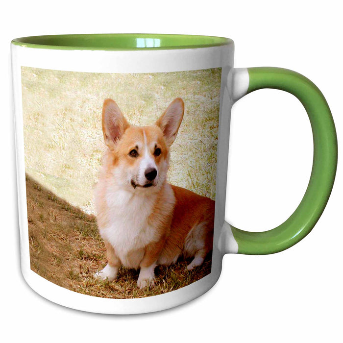 image of 11oz Two-Tone Green Mug