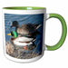 image of 15oz Two-Tone Green Mug