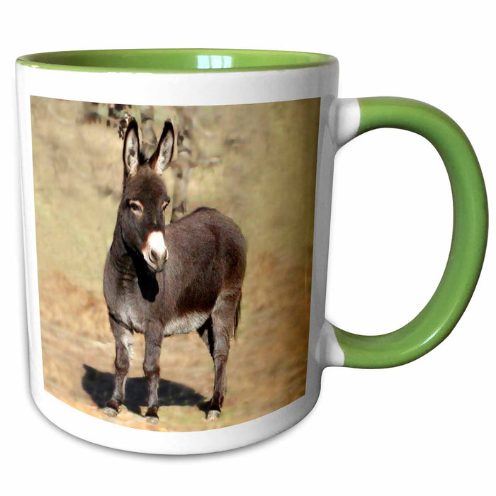 image of 11oz Two-Tone Green Mug