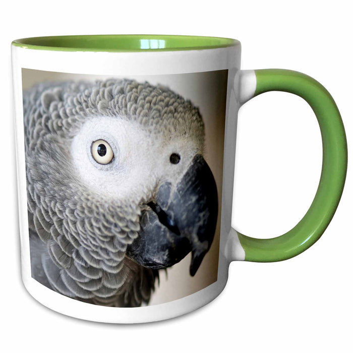 image of 11oz Two-Tone Green Mug