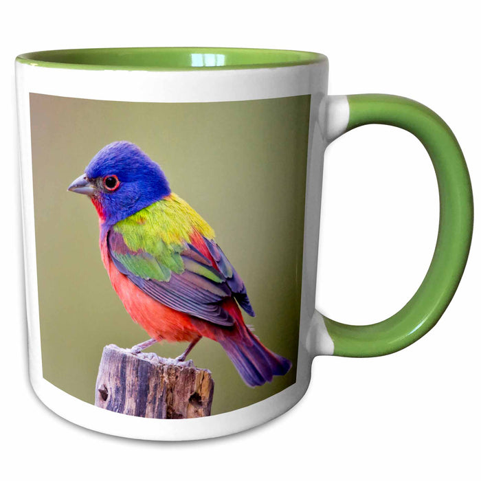 image of 15oz Two-Tone Green Mug