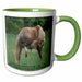 image of 11oz Two-Tone Green Mug