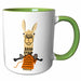 image of 11oz Two-Tone Green Mug