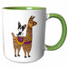 image of 15oz Two-Tone Green Mug