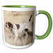 image of 11oz Two-Tone Green Mug