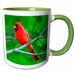 image of 11oz Two-Tone Green Mug