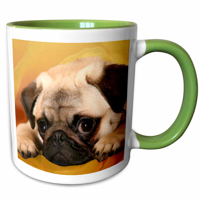 image of 11oz Two-Tone Green Mug