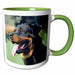 image of 15oz Two-Tone Green Mug