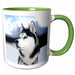 image of 11oz Two-Tone Green Mug