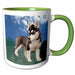 image of 15oz Two-Tone Green Mug