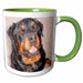 image of 11oz Two-Tone Green Mug