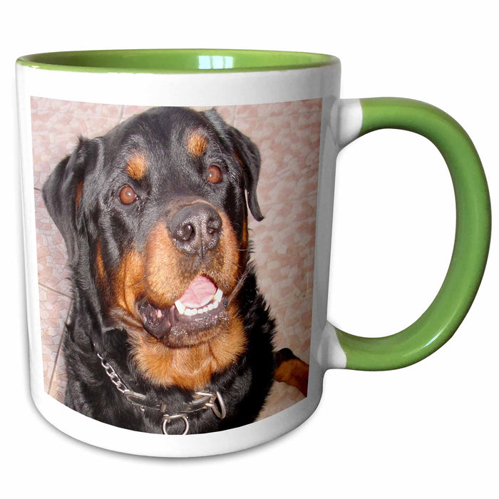 image of 15oz Two-Tone Green Mug