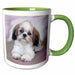 image of 11oz Two-Tone Green Mug