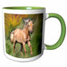 image of 11oz Two-Tone Green Mug