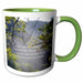 image of 11oz Two-Tone Green Mug