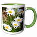 image of 11oz Two-Tone Green Mug