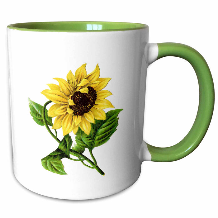 image of 15oz Two-Tone Green Mug