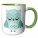 image of 11oz Two-Tone Green Mug