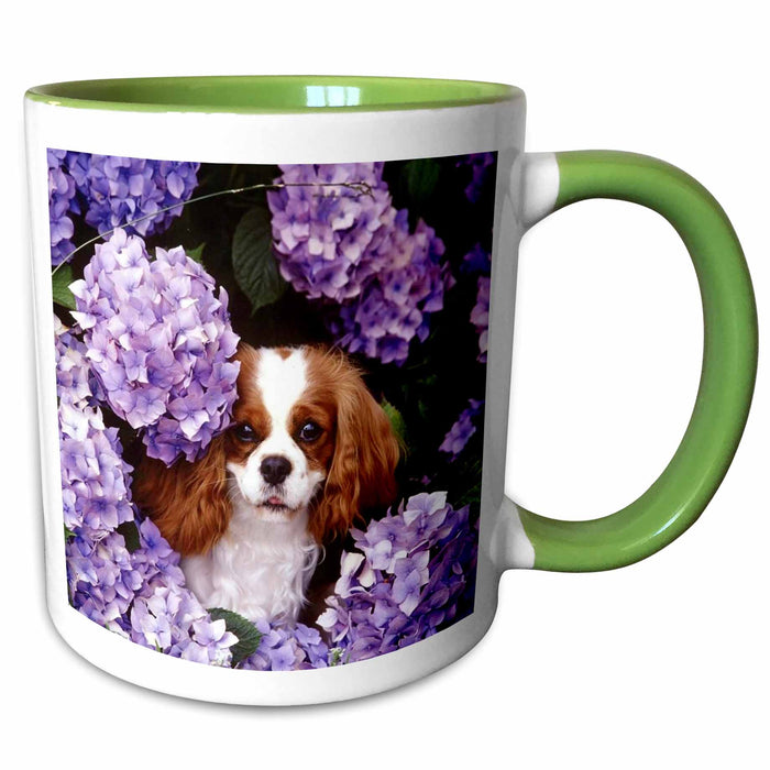 image of 15oz Two-Tone Green Mug