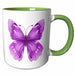 image of 15oz Two-Tone Green Mug