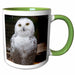 image of 11oz Two-Tone Green Mug