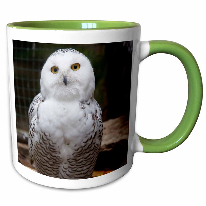 image of 15oz Two-Tone Green Mug