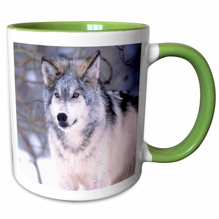 image of 15oz Two-Tone Green Mug