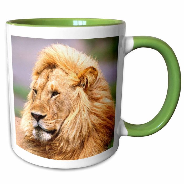 image of 15oz Two-Tone Green Mug