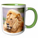 image of 15oz Two-Tone Green Mug