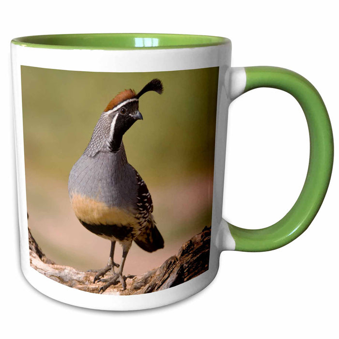 image of 15oz Two-Tone Green Mug