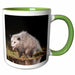 image of 15oz Two-Tone Green Mug