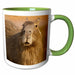 image of 15oz Two-Tone Green Mug